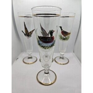 Set of 5 Vintage Wildlife Fowl Birds Pilsner Beer Glasses